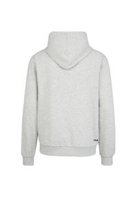 Fila Belfort Hoody, męska bluza. Typ kołnierza: kaptur. Kolor: wielokolorowy, szary. Materiał: bawełna, wiskoza, poliester #2