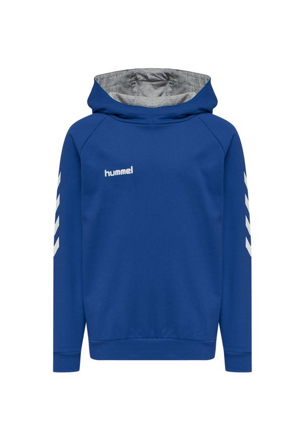 Bluza sportowa z kapturem dla dzieci Hummel Go Kids Cotton Hoodie. Typ kołnierza: kaptur. Kolor: niebieski, wielokolorowy, biały