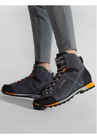 Dolomite Trekkingi Cinquantaquattro Hike Evo Gtx GORE-TEX 289207-1076020 Szary. Kolor: szary. Materiał: skóra, zamsz. Technologia: Gore-Tex. Sport: turystyka piesza