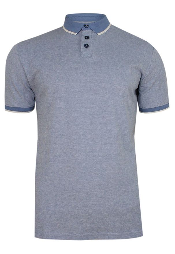 Pako Jeans - Niebieska Koszulka POLO, Męska, Krótki Rękaw -PAKO JEANS- T-shirt z Kołnierzykiem. Okazja: na co dzień. Typ kołnierza: polo. Kolor: niebieski. Materiał: bawełna. Długość rękawa: krótki rękaw. Długość: krótkie. Styl: casual