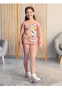 Sinsay - Legginsy 3 pack Psi Patrol - różowy. Kolor: różowy