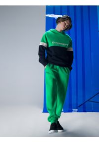 4F JUNIOR - Spodnie dresowe joggery chłopięce. Kolor: zielony. Materiał: dresówka