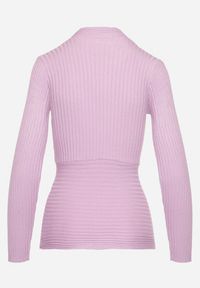 Born2be - Fioletowy Dopasowany Sweter w Prążki z Kopertowym Dekoltem Masasani. Kolor: fioletowy. Materiał: bawełna. Wzór: prążki #7