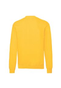 FRUIT OF THE LOOM - Męska Klasyczna Bluza Wkładana Przez Głowę. Kolor: żółty, pomarańczowy, wielokolorowy