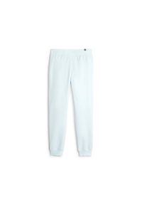 Puma Spodnie Ess Tape Fl Cl 67599969. Kolor: niebieski