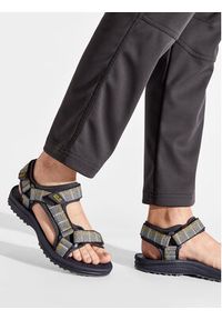 Jack Wolfskin Sandały Wave Breaker M 4052011 Szary. Kolor: szary. Materiał: materiał #9
