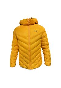 Puma Kurtka Winter 53885777. Kolor: żółty