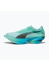 Puma - Buty do biegania męskie PUMA Fast-R Nitro Elite 3. Kolor: szary. Sport: bieganie
