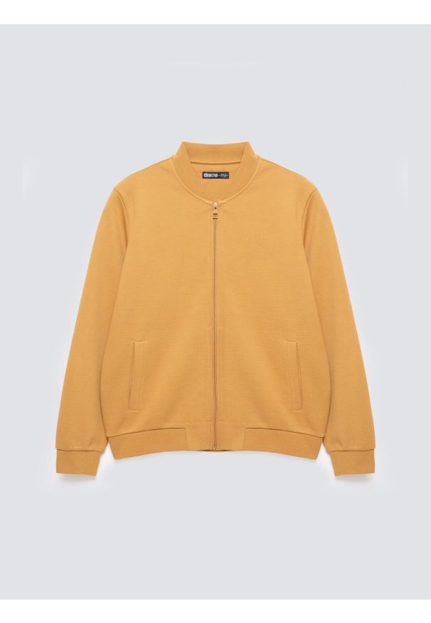 Big-Star - Bluza męska bomber jasnobrązowa Wladorb 803. Okazja: na spacer. Typ kołnierza: kołnierzyk stójkowy. Kolor: brązowy. Materiał: tkanina, materiał, dzianina. Wzór: nadruk. Styl: klasyczny, sportowy
