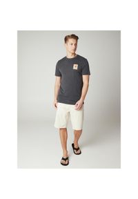 T-shirt męski Protest PRTOALO. Kolor: czarny, szary, wielokolorowy. Sezon: lato. Sport: turystyka piesza #1