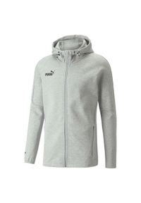 Bluza z kapturem Puma Teamfinal Casuals Hooded Jkt, Mężczyźni. Typ kołnierza: kaptur. Kolor: szary. Materiał: bawełna, materiał