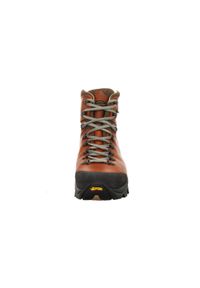 Buty do turystyki męskie Zamberlan VIOZ LUX GTX RR. Kolor: brązowy. Sport: turystyka piesza
