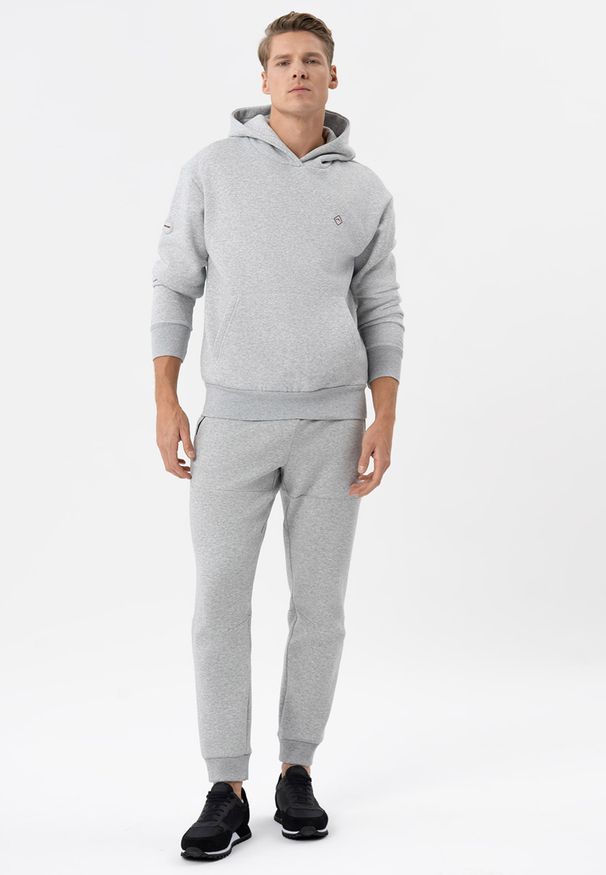 Volcano - Spodnie dresowe joggery N-BASO. Kolor: szary. Materiał: dresówka