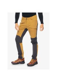 Spodnie trekkingowe męskie Helly Hansen Hovda Tur Pant. Kolor: brązowy