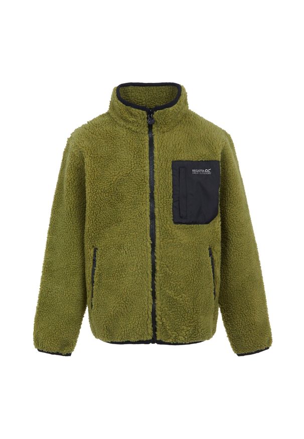 Regatta - Kurtka Dziecięca Frankie Full Zip Fleece Jacket. Kolor: zielony. Sezon: zima. Sport: turystyka piesza