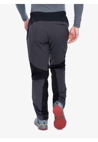 Spodnie trekkingowe męskie Rab Torque Pants. Kolor: szary