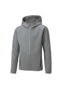 Bluza z kapturem Puma Evostripe Full-zip Hoodie Dk B, Dzieci. Typ kołnierza: kaptur. Kolor: szary. Materiał: materiał, bawełna #1