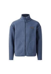 DARE 2B - Kurtka Dziecięca Zesty II Fleece Jacket. Kolor: niebieski. Sezon: zima #1