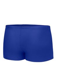 Bokserki pływackie dla dzieci Aqua Speed Andy. Kolor: wielokolorowy, niebieski, szary