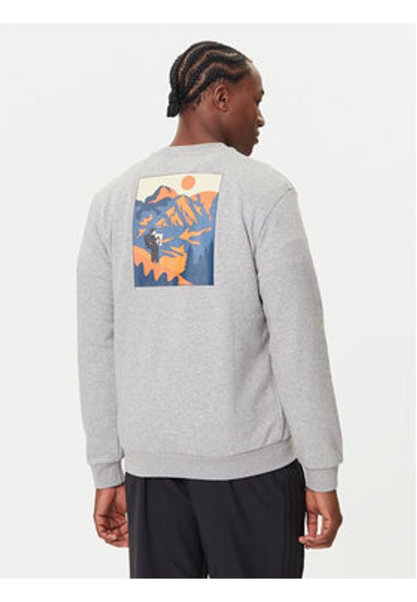 Adidas - adidas Bluza Doodle Hunt Hike Graphic JM6503 Szary Regular Fit. Kolor: szary. Materiał: bawełna