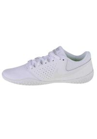 Nike - Trampki Damskie Skóra Cheer Sideline IV. Kolor: biały. Materiał: skóra. Sezon: zima