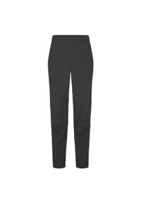 Spodnie przeciwdeszczowe damskie Rab Women's Downpour Pants. Kolor: czarny