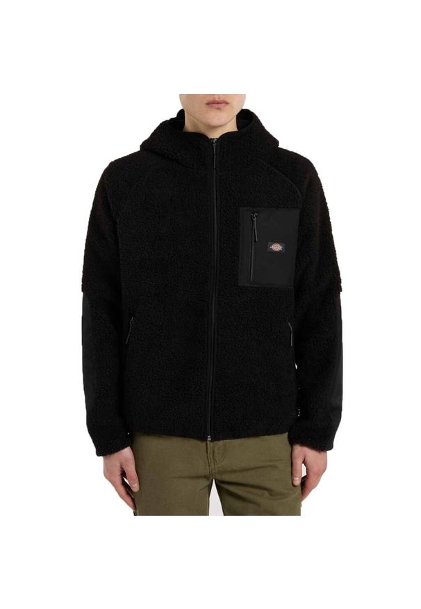 Dickies - Kurtka DICKIES CENTRAL HIGH Czarny. Kolor: czarny. Materiał: tkanina