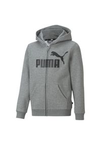 Bluza dziecięca z pełnym zamkiem błyskawicznym Puma Essential. Typ kołnierza: kaptur. Kolor: szary #1