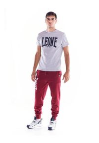 LEONE 1947 APPAREL - Męska koszulka z krótkim rękawem Leone 1947 Apparel. Kolor: szary. Materiał: tkanina. Długość rękawa: krótki rękaw. Długość: krótkie. Sport: fitness