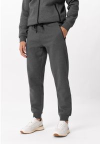 Volcano - Dresowe spodnie N-NICER. Kolor: szary. Materiał: dresówka. Wzór: napisy #1