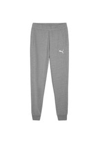 Puma - Męskie Spodnie Do Biegania Team Goal Casuals. Kolor: szary. Materiał: dresówka