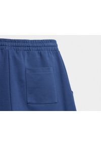 outhorn - Spodnie dresowe męskie - niebieskie. Kolor: niebieski. Materiał: dresówka #6