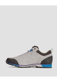 Buty męskie Dolomite 54 Hike Low Evo GTX. Kolor: szary
