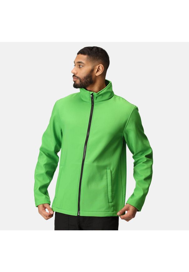 Regatta - Męska kurtka softshell Ablaze z nadrukiem. Kolor: zielony. Materiał: softshell. Wzór: nadruk. Sezon: zima, jesień. Sport: turystyka piesza