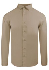 Delikatnie Taliowana Elegancka Koszula Męska - Victorio - Jasny Brąz. Kolor: brązowy, wielokolorowy, beżowy. Materiał: bawełna, elastan, poliester. Styl: elegancki #1