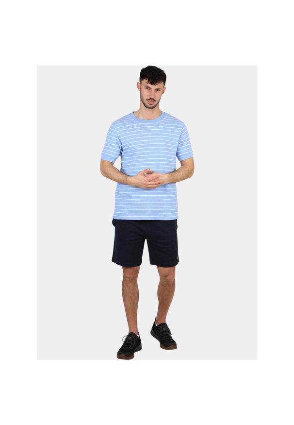 T-shirt męski Nautica Whitby. Kolor: biały, wielokolorowy, niebieski