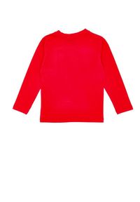 LEONE 1947 APPAREL - Dziecięcy t-shirt basic Leone z długim rękawem. Kolor: czerwony. Długość rękawa: długi rękaw. Długość: długie. Sport: joga i pilates