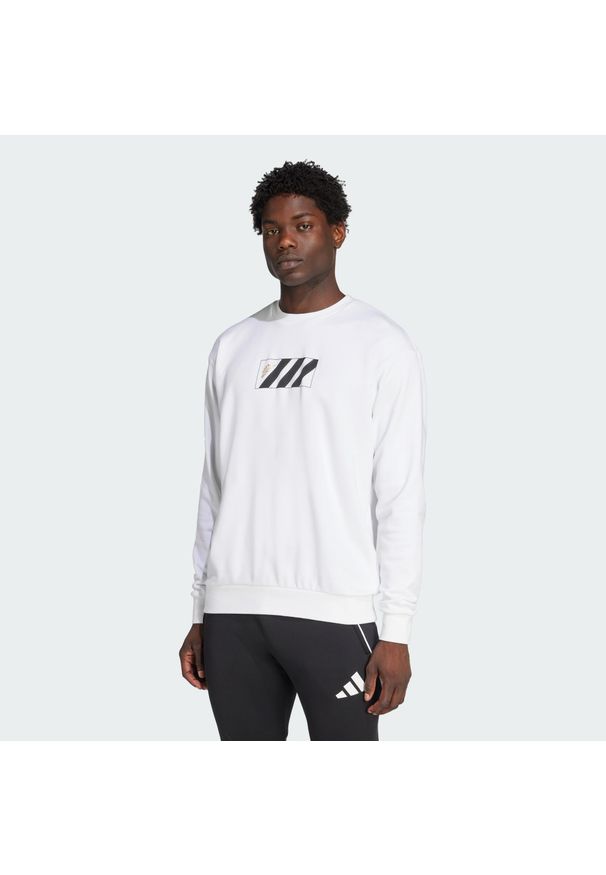 Adidas - Bluza Copa Graphic. Kolor: biały. Sport: piłka nożna