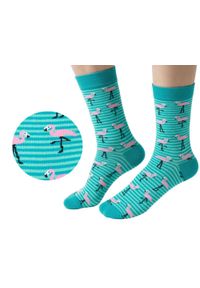 His Story - Skarpetki Bawełniane - Tematyczne - Turkusowe we Flamingi. Kolor: niebieski. Materiał: elastan, bawełna, poliamid #5