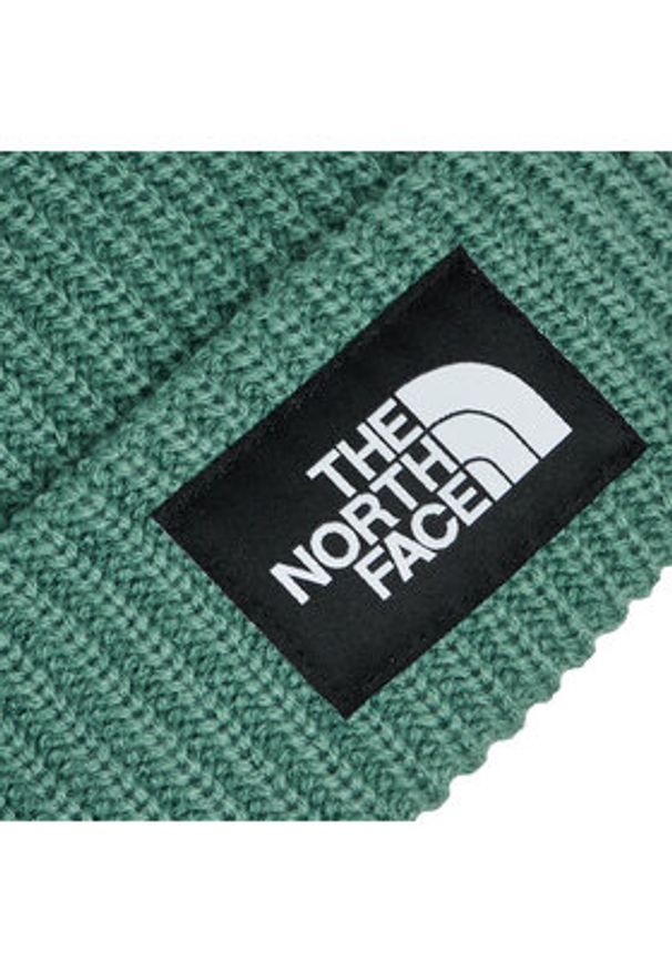 The North Face Czapka Salty Lined BeanieNF0A3FJWI0F1 Zielony. Kolor: zielony. Materiał: materiał