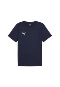 Koszulka męska Puma teamRISE Matchday Jersey. Kolor: biały, wielokolorowy, niebieski. Materiał: jersey. Sport: piłka nożna