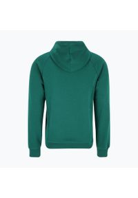 Fila - Bluza męska FILA Lutheran Hoody. Kolor: zielony