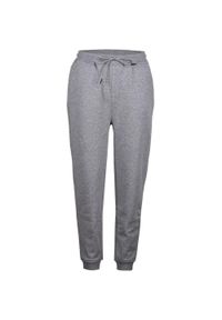 FUNDANGO - Spodnie treningowe damskie Fundango Jogger. Kolor: szary. Sezon: zima. Sport: narciarstwo