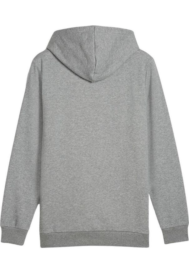 Bluza sportowa męska Puma Ess Logo LAB Gradient Hoodie FL. Kolor: szary. Wzór: gradientowy