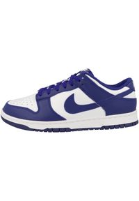 Buty do chodzenia męskie Nike Dunk Low Retro. Zapięcie: sznurówki. Kolor: wielokolorowy, niebieski, fioletowy. Materiał: guma, skóra, tkanina, materiał, syntetyk. Szerokość cholewki: normalna. Sport: turystyka piesza