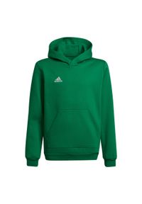 Adidas - Bluza piłkarska dla dzieci adidas Entrada 22 Hoody. Kolor: biały, zielony, wielokolorowy. Sport: piłka nożna