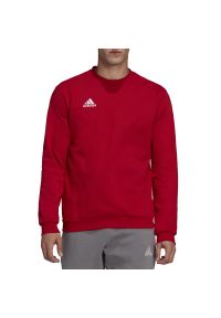 Adidas - Bluza adidas Entrada 22 HB0577 - czerwona. Kolor: czerwony. Materiał: bawełna, materiał, poliester. Wzór: aplikacja. Styl: klasyczny