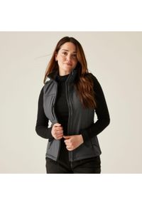 Regatta - Damski ochraniacz na ciało Flux Softshell. Kolor: szary. Materiał: softshell. Sport: turystyka piesza #1