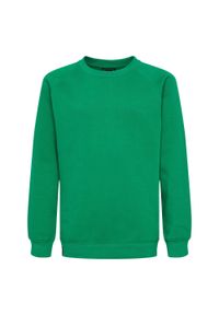 Bluza dziecięca Hummel Red Classic. Kolor: zielony. Sport: joga i pilates