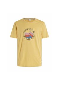 Koszulka Protest Prtsharm. Kolor: żółty. Sport: turystyka piesza #1